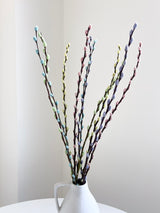 PASTEL » Mazzo di Salice multicolor pastello