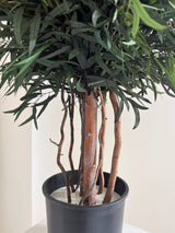 FOREST » pianta stabilizzata di eucalipto nicoli verde H130cm