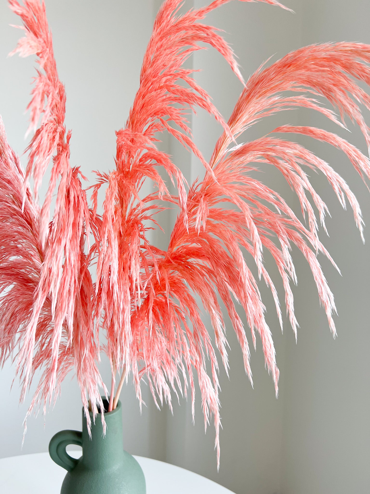 PLUMORA » Pampas piccola rosa chiaro H70cm