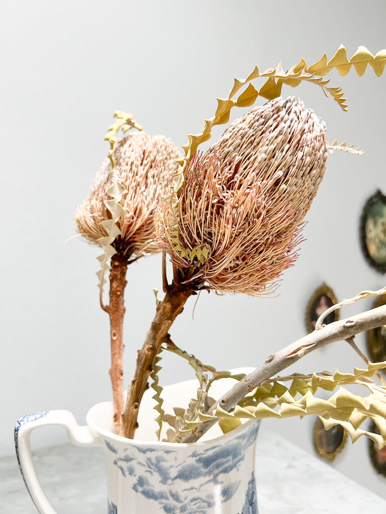 LUIGI » Natural dried Protea bouquet