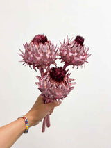 RAFFAELLA » Mazzo da tre fiori di Carciofo rosa