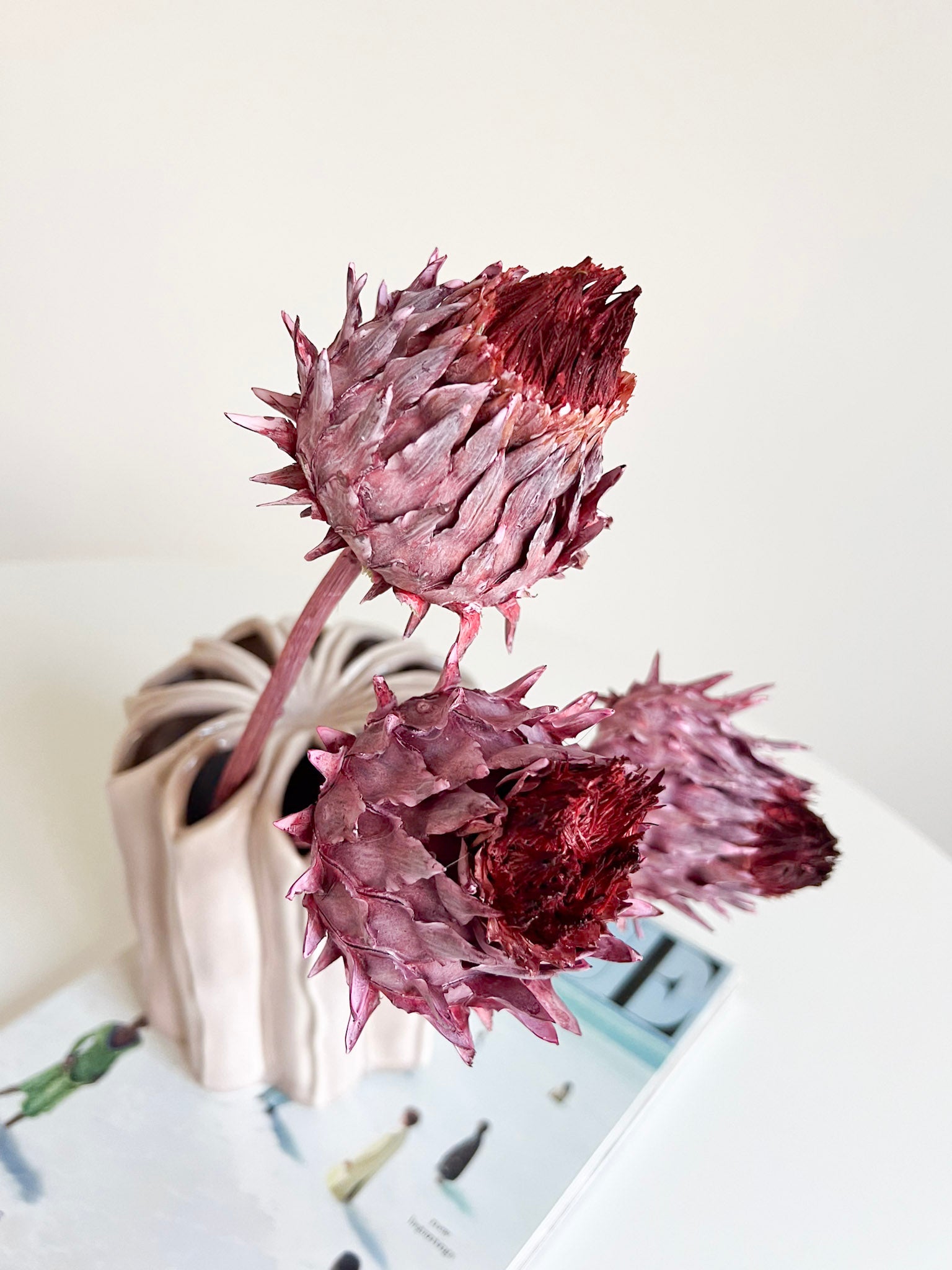 RAFFAELLA » Mazzo da tre fiori di Carciofo rosa