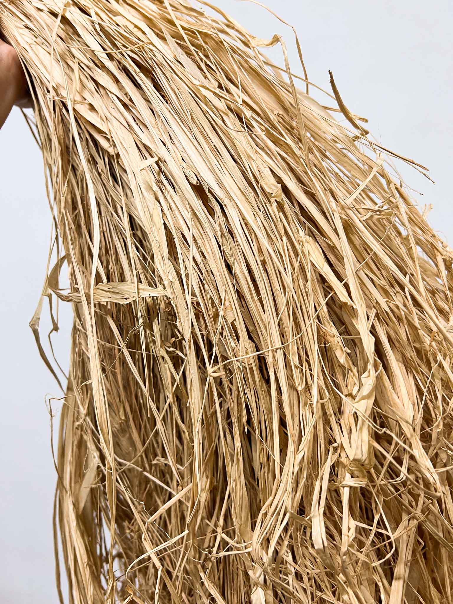 RAIMONDO » Rafia naturale da 1kg