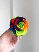 RAINBOW » Box da 6 fiori di rose arcobaleno 6,5cm standard