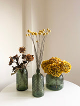 REMINGTON » Vaso di vetro verde