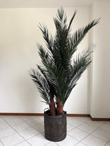 ROBIN » pianta stabilizzata phoenix verde 220cm