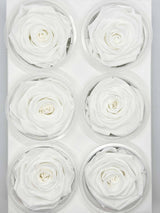 ALIA » Box of 6 white Rose standard flowers - 6,5cm diameter