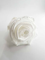 ALIA » Box of 6 white Rose standard flowers - 6,5cm diameter