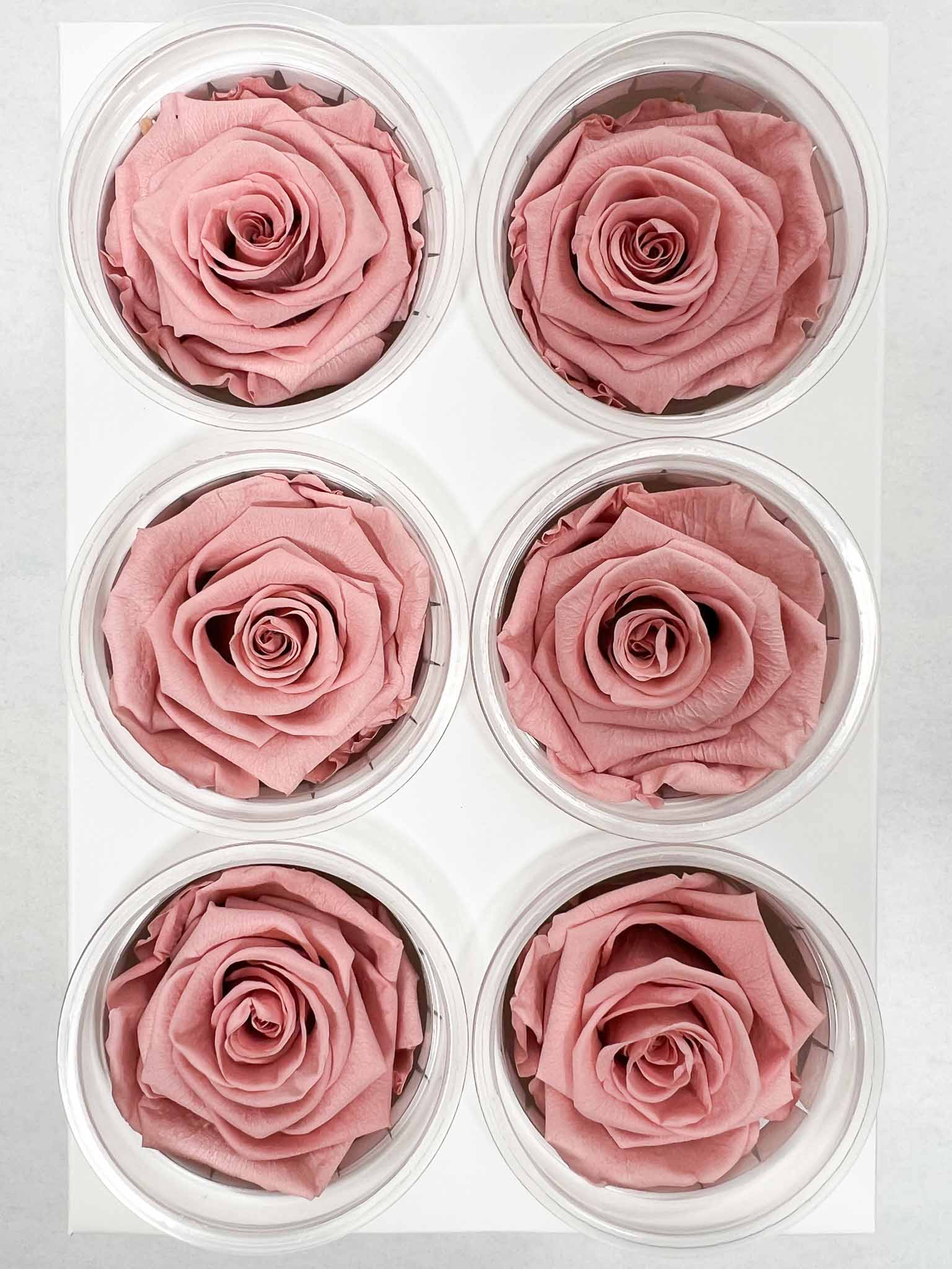 DOLORES » Box of 6 pink Rose standard flowers - 6,5cm diameter