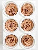 NEDA » Box of 6 nude Rose standard flowers - 6,5cm diameter