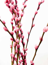 LIDIANA » Dried pink Willow bouquet