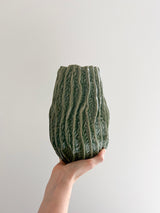 SEAWY » Vaso di ceramica smaltata verde organico