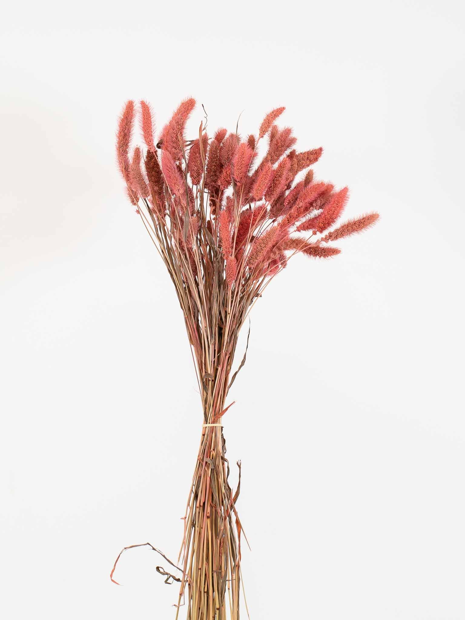 VANNA » Antique pink Setaria bouquet