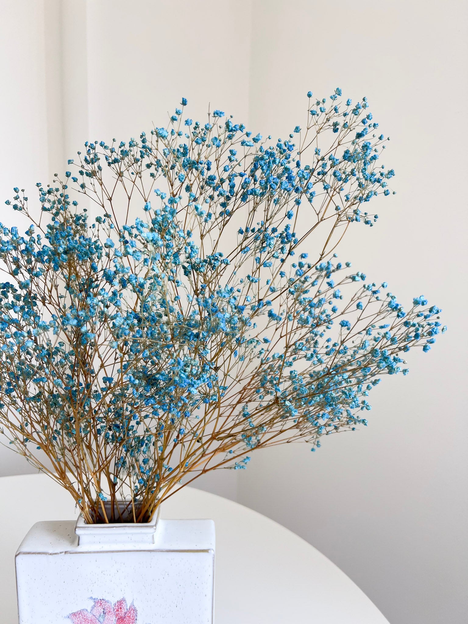 SKY » Mazzo di Gypsophila stabilizzata celeste