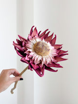 SWAMI » fiore di carciofo grande aperto rosa
