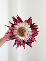 SWAMI » fiore di carciofo grande aperto rosa
