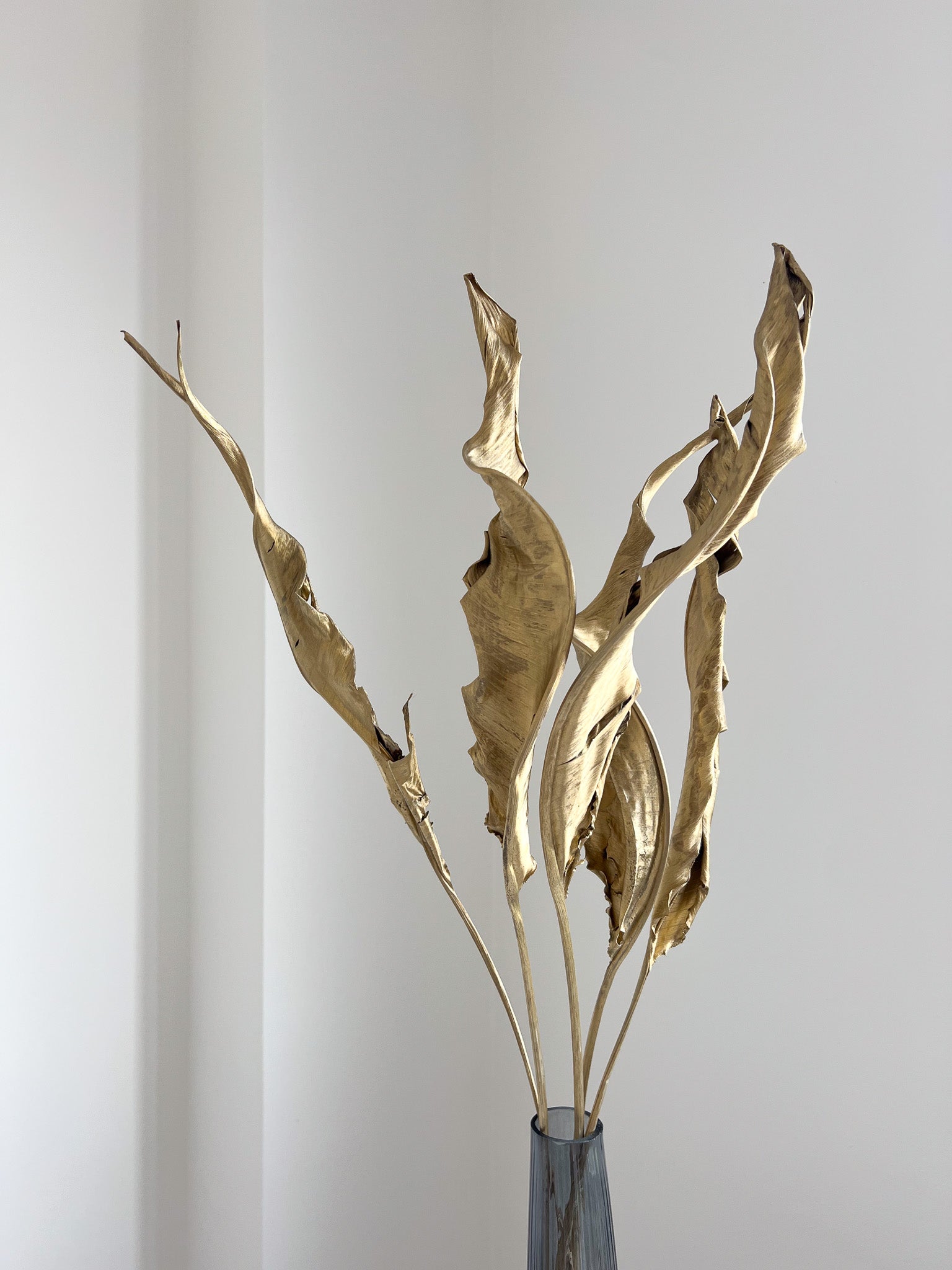 THOR » Mazzo da 10 steli di strelitzia oro scuro essiccata H90cm