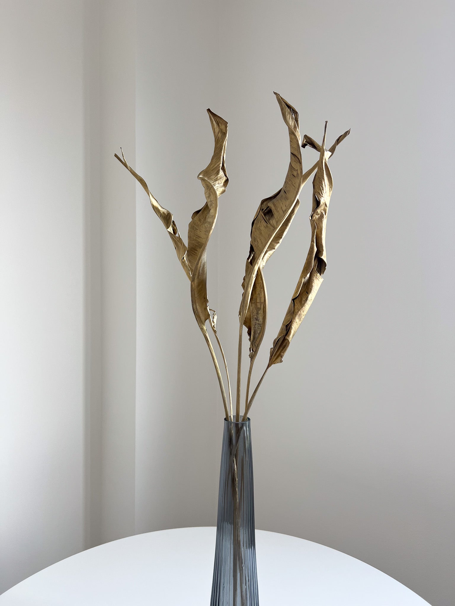 THOR » Mazzo da 10 steli di strelitzia oro scuro essiccata H90cm