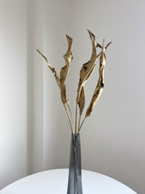 THOR » Mazzo da 10 steli di strelitzia oro scuro essiccata H90cm