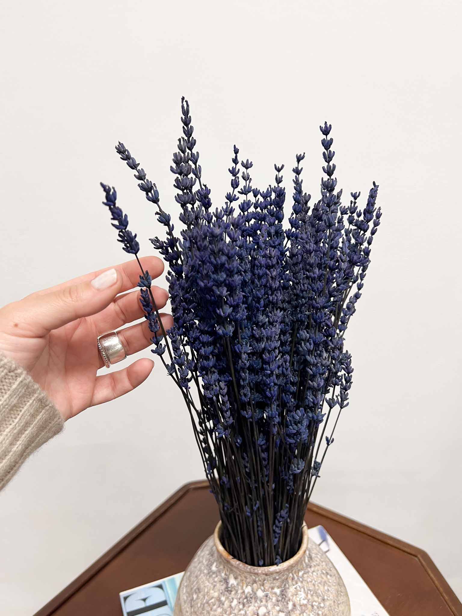 UGA » Blue preserved Lavender