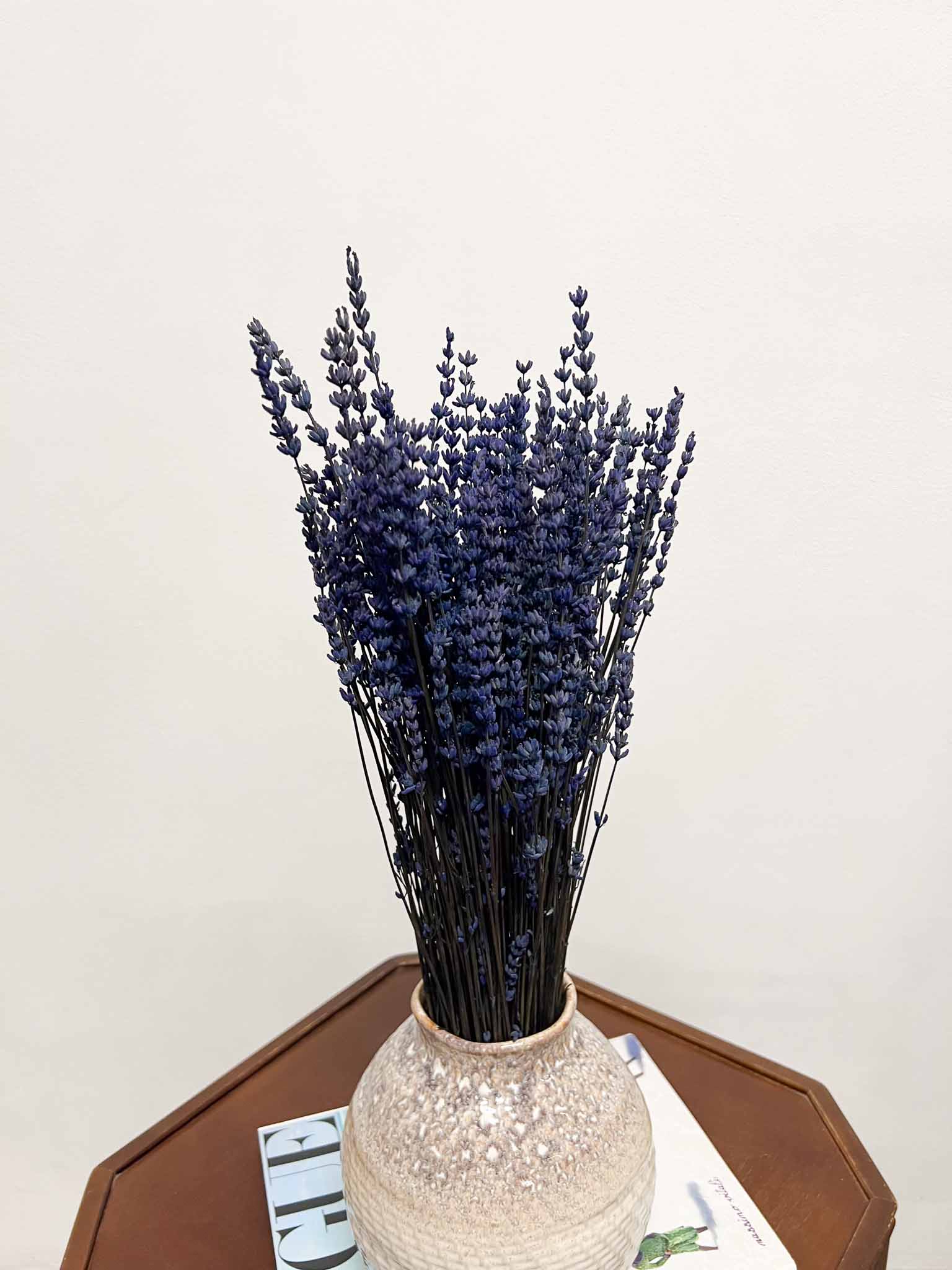 UGA » Blue preserved Lavender