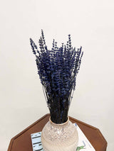 UGA » Blue preserved Lavender