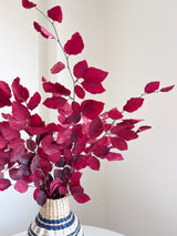VALERY » Mazzo di Faggio stabilizzato fucsia