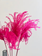 VIOLANTE » mazzo di miscanthus fucsia