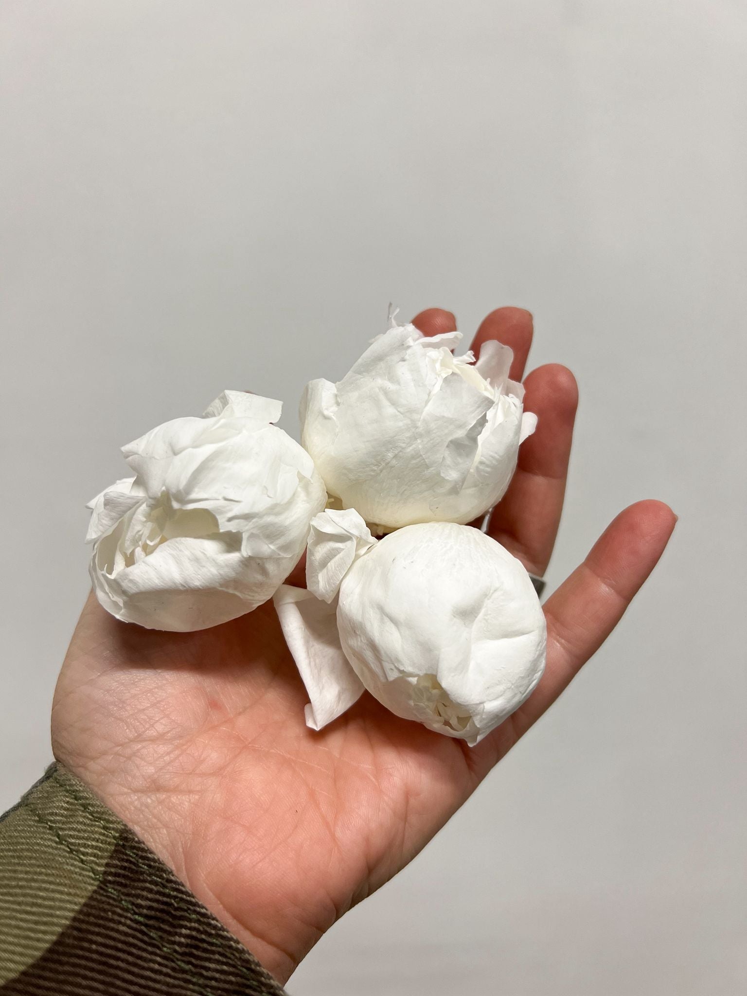CLELIA » Pack of 3 preserved white Peonies