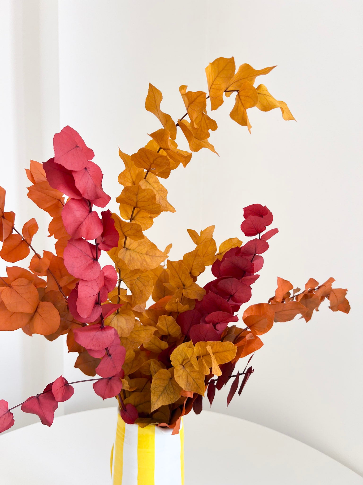 ZARA » Bouquet d'Eucalyptus Stuartiana stabilisé aux couleurs automnales