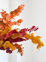 ZARA » Bouquet d'Eucalyptus Stuartiana stabilisé aux couleurs automnales