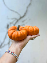 HAYATO » 2 decorative medium pumpkins