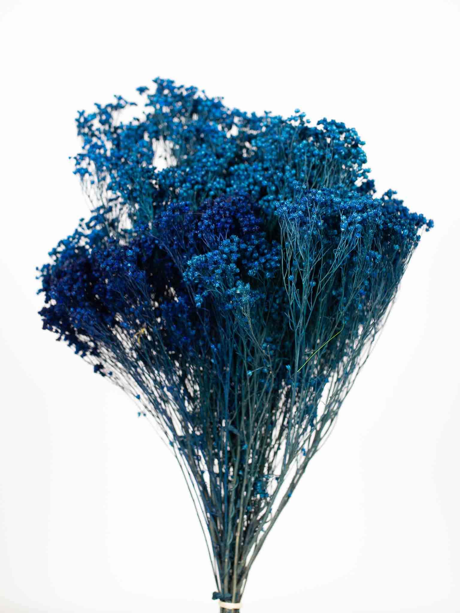 VALERIA » Mazzo di Broom Bloom blu