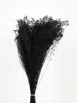 ARON » Black Broom Bloom bouquet