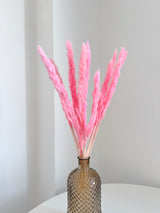 ZULEYA » Mazzo di Fluffy Pampas rosa fluo