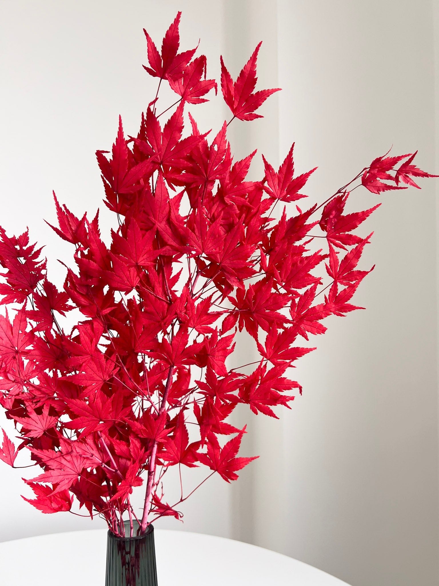 ACEA » foglie di acero stabilizzato rosso - Bloomoon