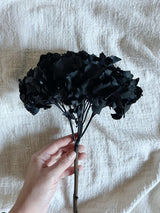 AGATHA » Ortensia stabilizzata nera - Bloomoon