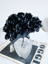 AGATHA » Ortensia stabilizzata nera - Bloomoon