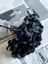 AGATHA » Ortensia stabilizzata nera - Bloomoon