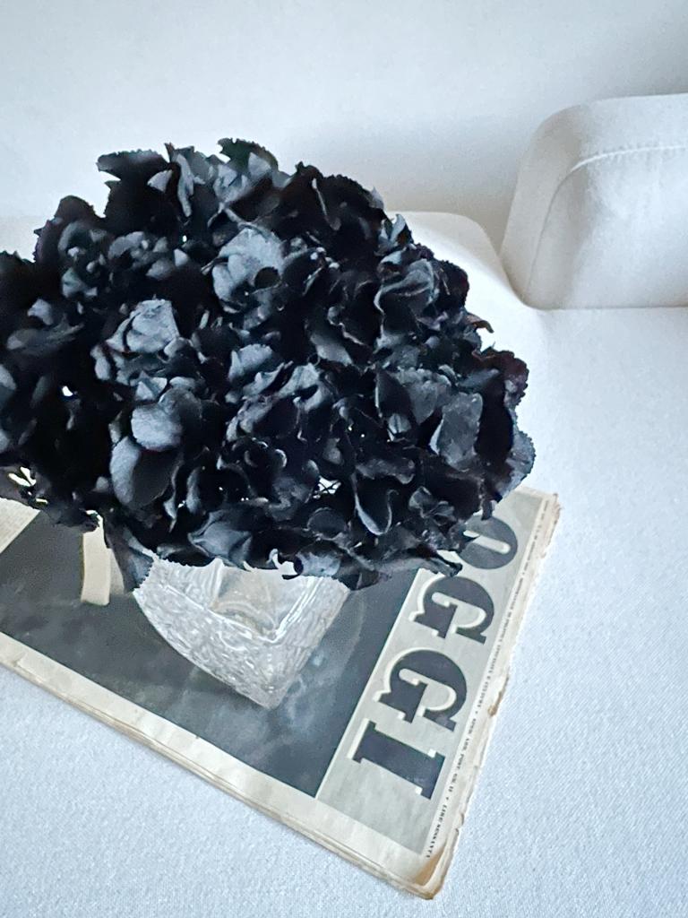 AGATHA » Ortensia stabilizzata nera - Bloomoon