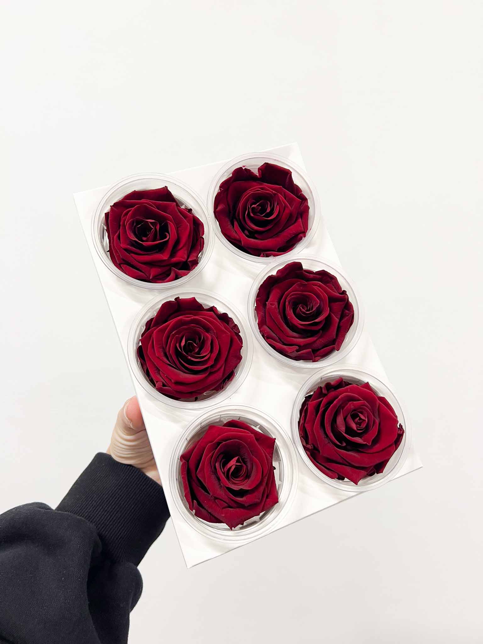 AGLAIA » Box da 6 fiori di Rosa rosso scuro diametro 6,5cm standard - Bloomoon