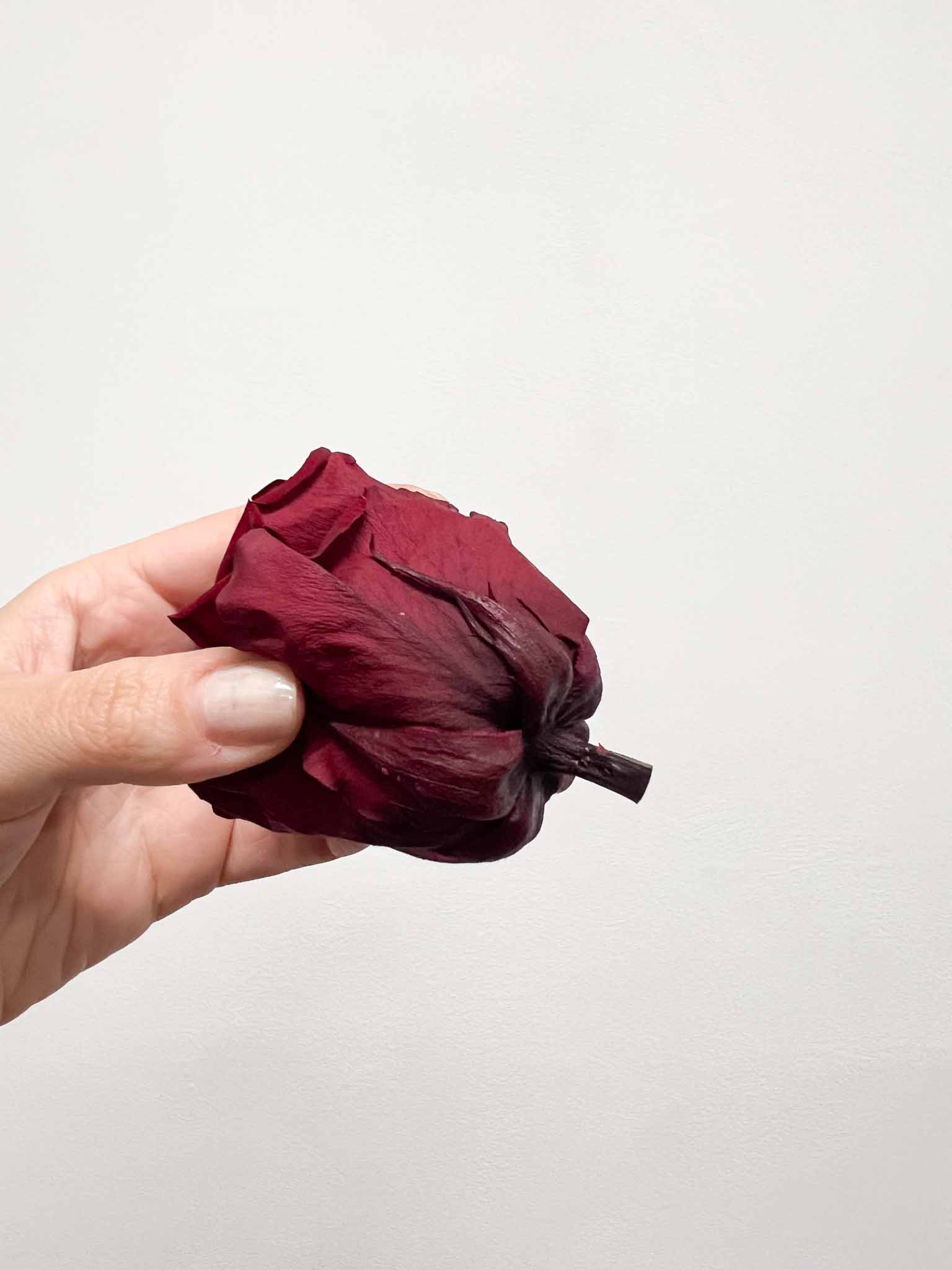 AGLAIA » Box da 6 fiori di Rosa rosso scuro diametro 6,5cm standard - Bloomoon