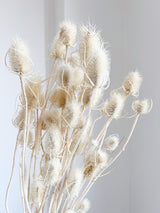 AGOS » mazzo di cardi bianchi H100cm - Bloomoon