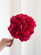 AGOSTINA » Ortensia premium stabilizzata rossa - Bloomoon