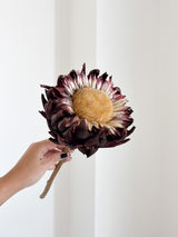 AMOS » fiore di carciofo grande aperto marrone - Bloomoon