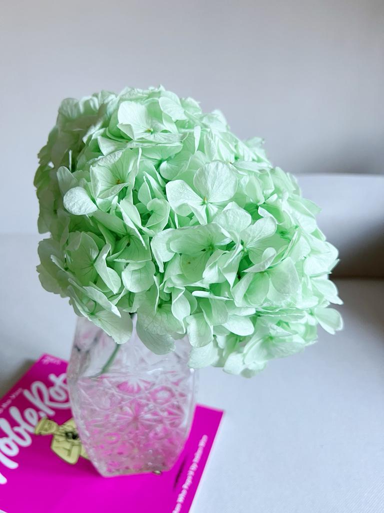 ANGIE » Ortensia stabilizzata premium verde menta - Bloomoon
