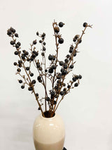 ANIELLO » Mazzo di bacche naturale Black Berry - Bloomoon
