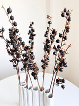 ANIELLO » Mazzo di bacche naturali Black Berry - Bloomoon