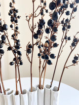 ANIELLO » Mazzo di bacche naturali Black Berry - Bloomoon