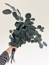 ANTONELLA » Mazzo di Eucalipto Populus stabilizzato verde - Bloomoon